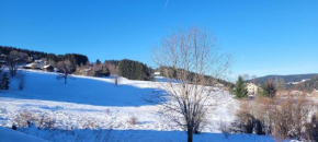 Le Petit Sapin Xonrupt-Longemer